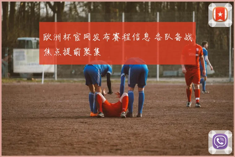 欧洲杯官网发布赛程信息 各队备战焦点提前聚集
