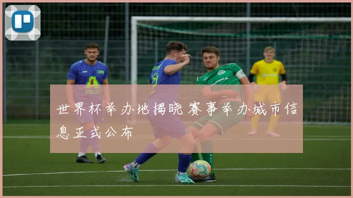 世界杯举办地揭晓 赛事举办城市信息正式公布